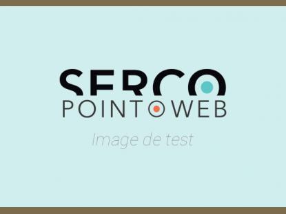 CHARPENTE ET COUVERTURE DE NOS MAISONS DE BOIS